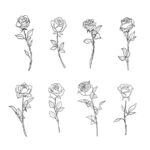 Rose Tattoo Set Vector (EPS, SVG)