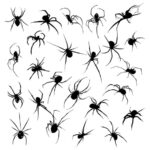 Spider Silhouette Tattoo Vector (EPS, SVG)