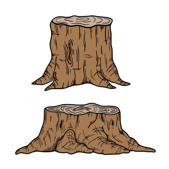 Tree Stump (PNG Transparent)