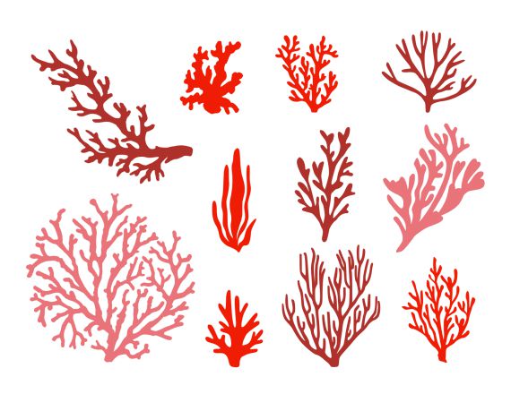 Coral Shapes Vector (EPS, SVG)