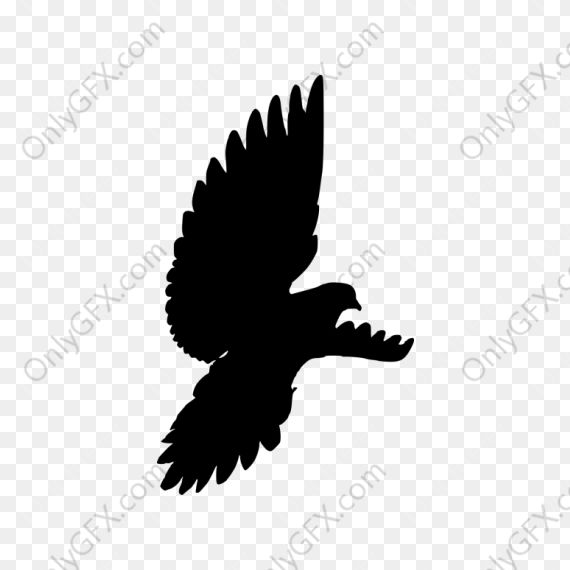 Dove Bird Silhouette (PNG Transparent)
