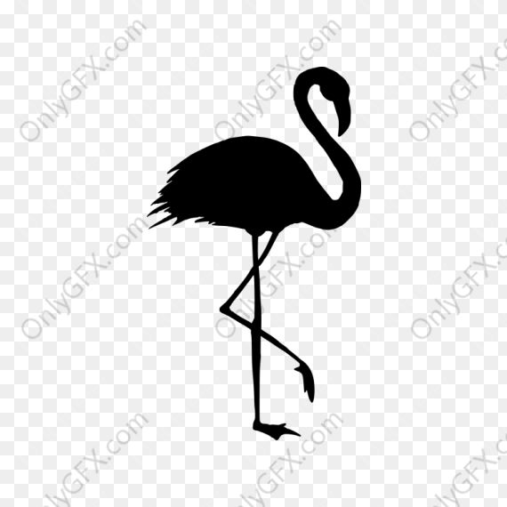Flamingo Silhouette (PNG Transparent)