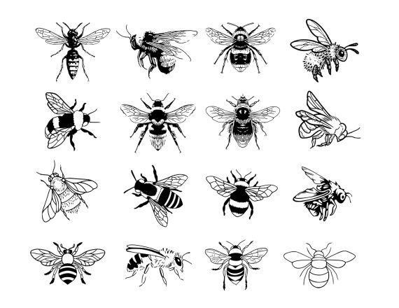 Bee Tattoo Set Vector (EPS, SVG)