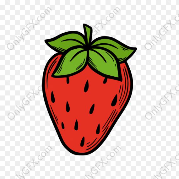 Fruits Drawing Clipart (PNG Transparent)