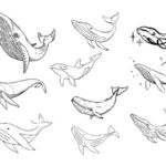 Whale Tattoo Set Vector (EPS, SVG)