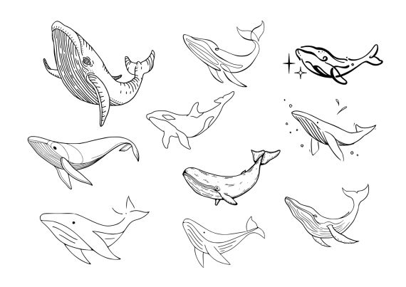 Whale Tattoo Set Vector (EPS, SVG)