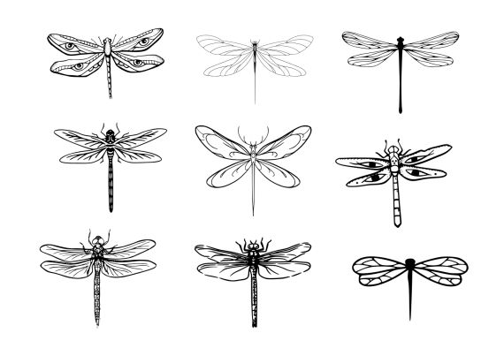 Dragonfly Tattoo Set Vector (EPS, SVG)