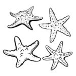 Starfish Tattoo Set Vector (EPS, SVG)