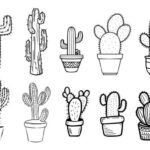 Cactus Tattoo Vector (EPS, SVG)