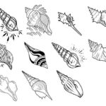 Conch Shell Tattoo Vector (EPS, SVG)
